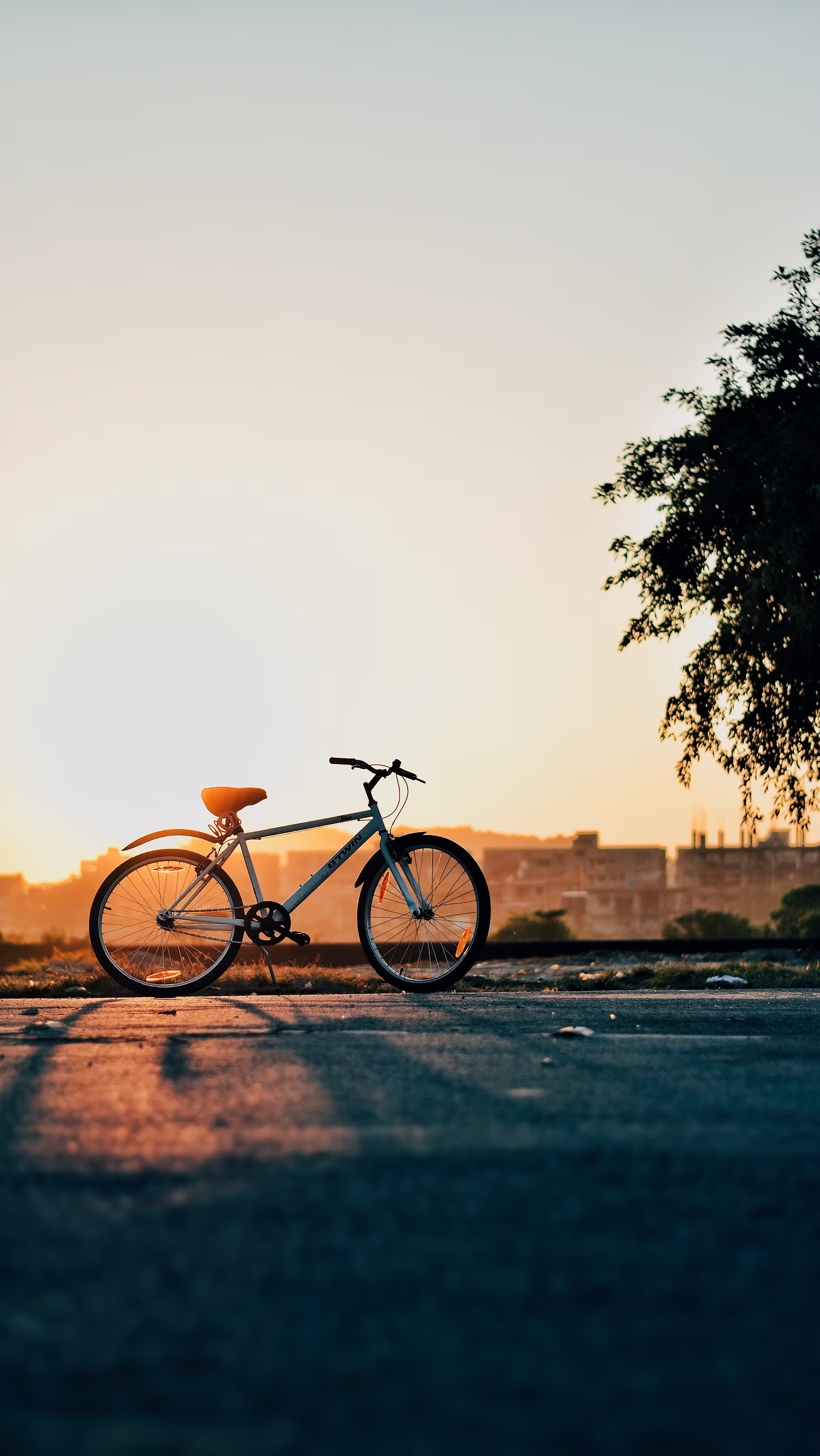 bikesunset_36b86e4724